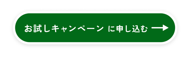 期間限定！お試しキャンペーンで申し込む